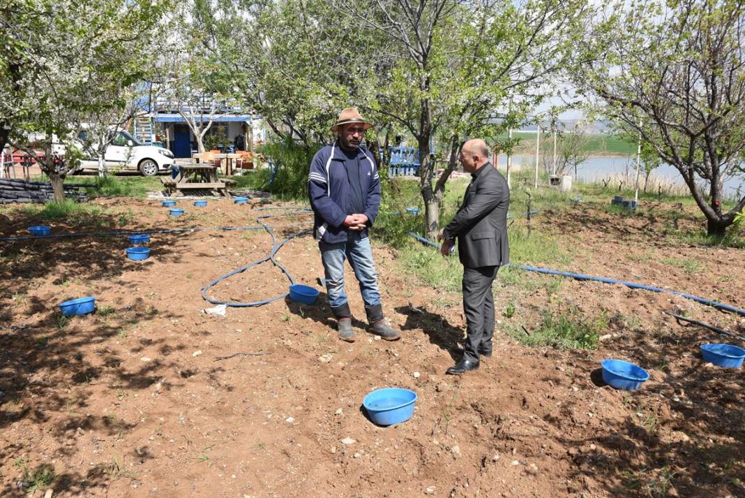 Mavi leğenleri görenler şaştı kaldı! Nedeni ortaya çıktı, 'bakla zınnı'na karşı mucize formül 8